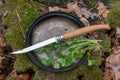 Folding knife with a long and narrow blade. Knife with a wooden hand