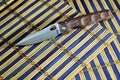 Folding knife stainless steel blade brown wood handle and blue natural background