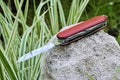 Folding knife stainless steel blade red handle green leaves gray stone nature still life background