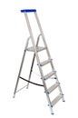 Folding Ladder