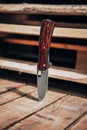 Folding pocket knife with wooden handle. A small knife on a wooden surface Royalty Free Stock Photo