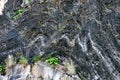 Folds and faults in rock