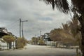 Foliage around the suburban residence