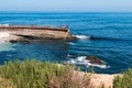 Foliage Atop a Cliff Overlooking the La Jolla Children`s Pool Royalty Free Stock Photo