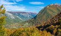 Foliage in autumn season at Forca d`Acero, in the Abruzzo and Molise National Park. Italy. Royalty Free Stock Photo