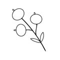 Foliage berry branch floral icon. Hand drawn Botanical vector illustration