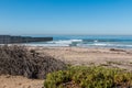 Foliage on Border Field State Park Beach with Border Wall Royalty Free Stock Photo