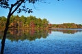 Foliage in Borderland Park Royalty Free Stock Photo