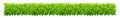 Foliage bush of green leaves. Horizontal rectangular long banner. Green leaves texture. Thick thickets shrubs. For spring and