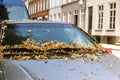 Foliage on car, street in provincial European town Royalty Free Stock Photo