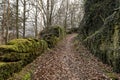 Foliage covered road cut into the sand stone massive rock Royalty Free Stock Photo