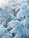 Foliage is covered with thick white frost.Generative AI.