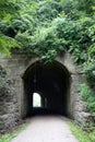 Foliage Covered Tunnel