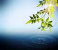 Foliage and drops falling in water