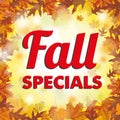 Foliage Fall Specials Royalty Free Stock Photo