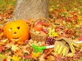 Foliage, gardening gloves, rakes,fruits and torch Royalty Free Stock Photo