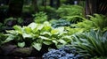 Foliage gardens. Shaded Green Foliage Path in Serene Garden