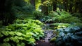 Foliage gardens. Shaded Green Foliage Path in Serene Garden