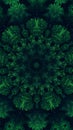 Foliage kaleidoscope nature mandala green leaves