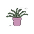 Foliage leaves pot plants flat fill