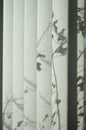 Foliage leaves and stems shadows on blinds narrow view Royalty Free Stock Photo