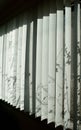 Foliage leaves and stems shadows on blinds wide view Royalty Free Stock Photo