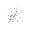 Foliage. One line drawing art. Continuous line style.