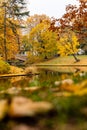 Foliage at park near curvy stream. Royalty Free Stock Photo