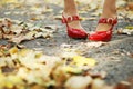 Foliage and red shoes Royalty Free Stock Photo