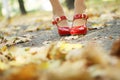 Foliage and red shoes Royalty Free Stock Photo