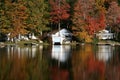 Foliage Reflections