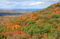 The foliage scenery