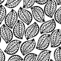 Foliage seamless pattern Royalty Free Stock Photo