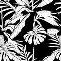 Foliage seamless pattern, banana tree and palm leaves line art ink drawing in black and white. Royalty Free Stock Photo