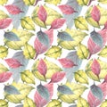 Foliage seamless pattern. Colorful leaves of red yellow poinsettia Watercolor hand draw illustration Royalty Free Stock Photo