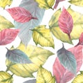 Foliage seamless pattern. Colorful leaves of red yellow poinsettia Watercolor hand draw illustration Royalty Free Stock Photo