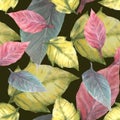 Foliage seamless pattern. Colorful leaves of red yellow poinsettia Watercolor hand draw illustration Royalty Free Stock Photo