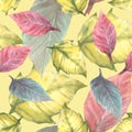 Foliage seamless pattern. Colorful leaves of red yellow poinsettia Watercolor hand draw illustration Royalty Free Stock Photo