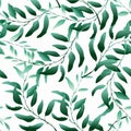 604_Seamless pattern with green tropical leaves plants eucalyptus Royalty Free Stock Photo