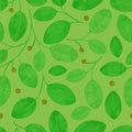 Foliage Seamless Pattern. Light green Watercolor. Royalty Free Stock Photo