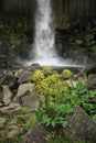 Foliage & Svartifoss waterfall