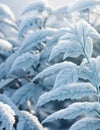 Foliage is covered with thick white frost.Generative AI.