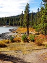 Fall color at Elk Lake