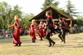 Folk Art Gene Festival in Georgia Royalty Free Stock Photo