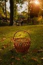 Folk basket golden autumn meadow village country side picturesque nature with people silhouette on background, dramatic autumn sun