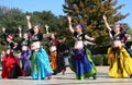 Folk dance show Royalty Free Stock Photo