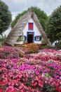 Folk Houses Santana village, Madeira. Royalty Free Stock Photo