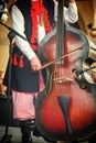 Folk musician with contrabass