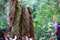 Folk wisdom that weave leaves to form a basket to wrap fruit to prevent insects.