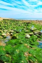 Folkestone beach at low tide England